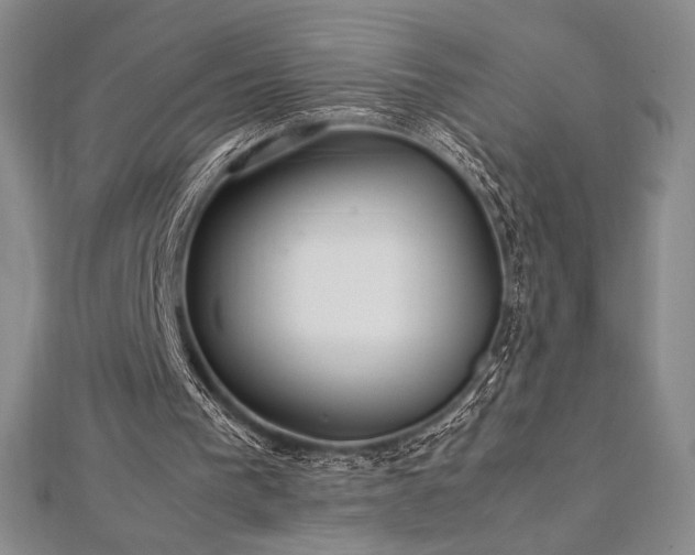 X0000113010193200908271416