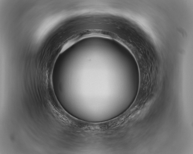 X0000113010194200908271416