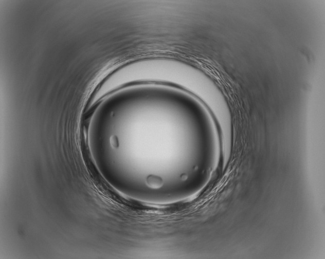 X0000113010195200908271416