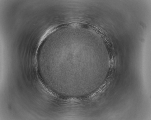 X0000113010198200908271416