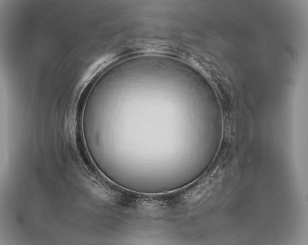 X0000113010199200908271416