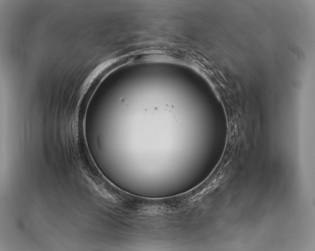 X0000113010200200908271416