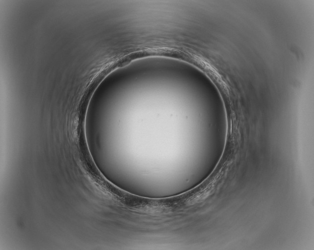 X0000113010201200908271416