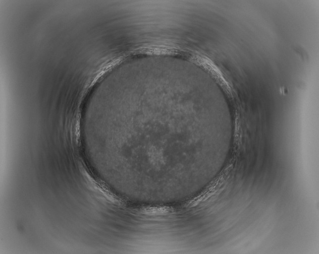 X0000113010202200908271416