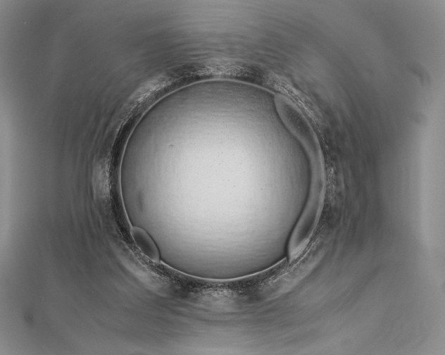 X0000113010203200908271416