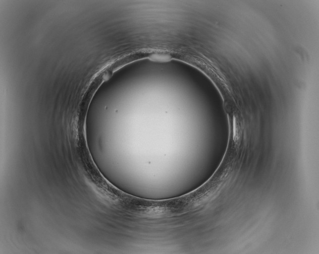 X0000113010204200908271416