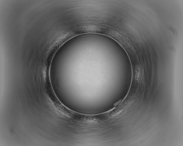 X0000113010206200908271416