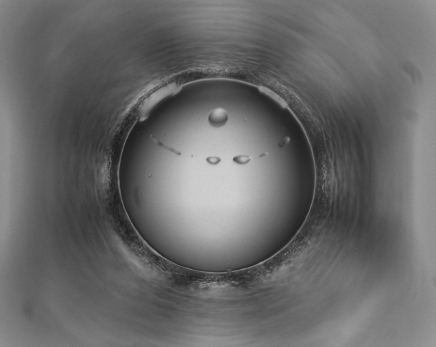 X0000113010208200908271416