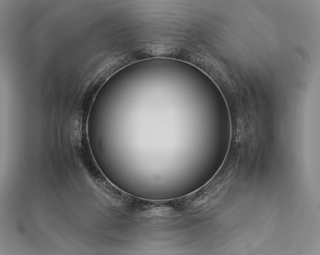 X0000113010210200908271416