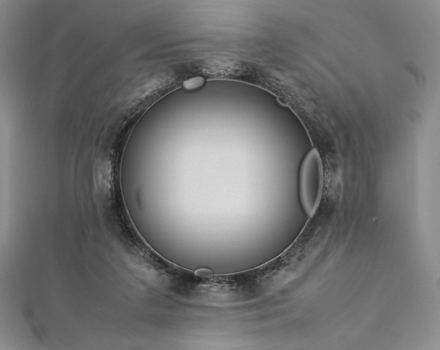 X0000113010211200908271416