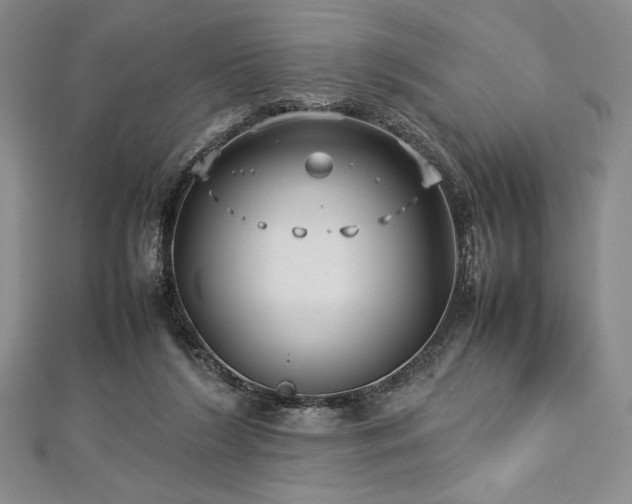 X0000113010212200908271416