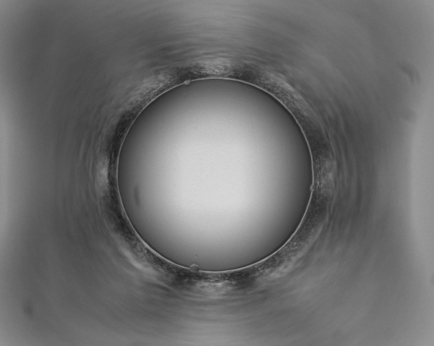 X0000113010213200908271416