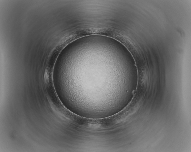 X0000113010214200908271416