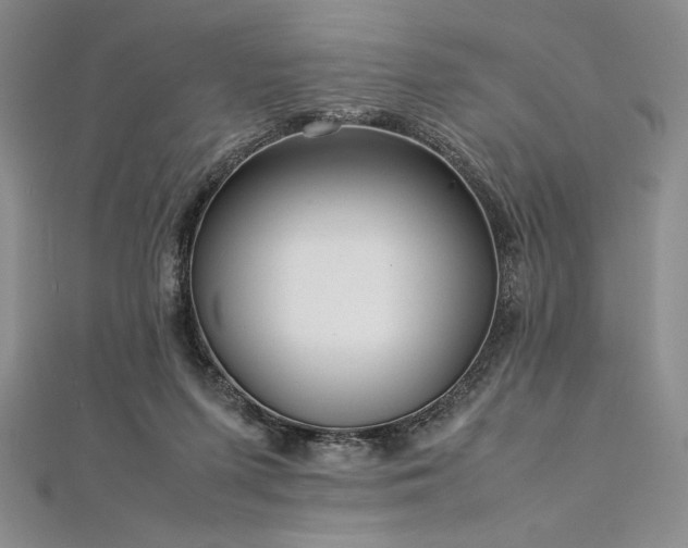 X0000113010215200908271416