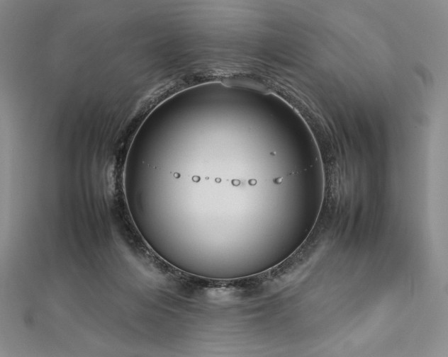 X0000113010216200908271416