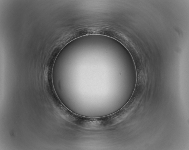 X0000113010217200908271416