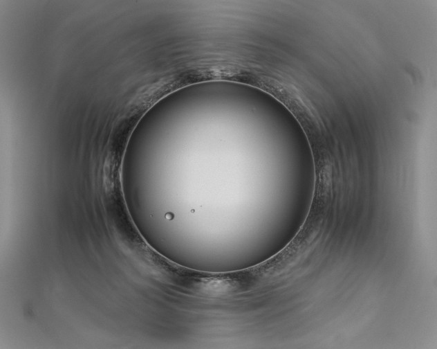 X0000113010218200908271416