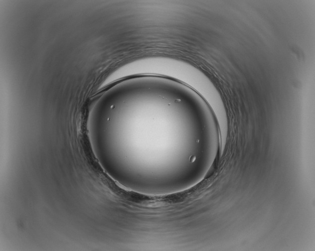 X0000113010219200908271416