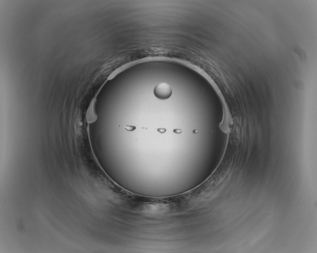 X0000113010220200908271416