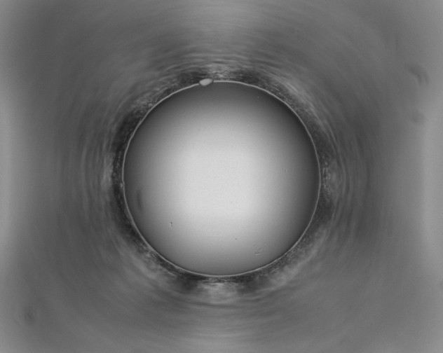 X0000113010221200908271416