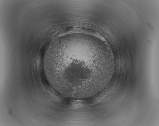 X0000113010222200908271416