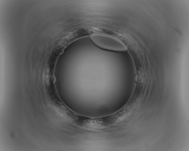 X0000113010223200908271416