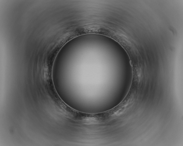 X0000113010224200908271416