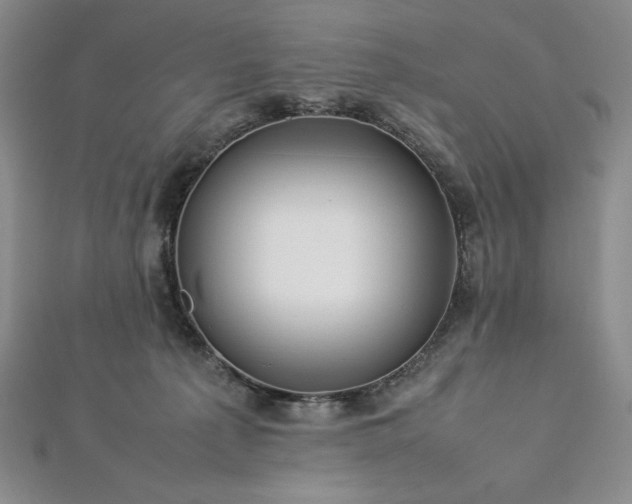 X0000113010225200908271416