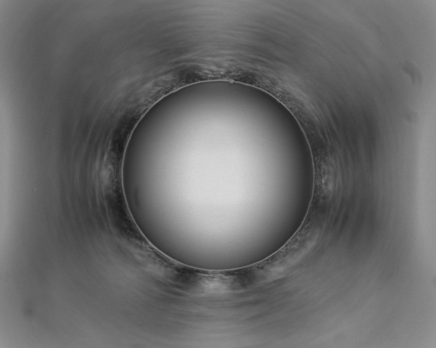 X0000113010226200908271416