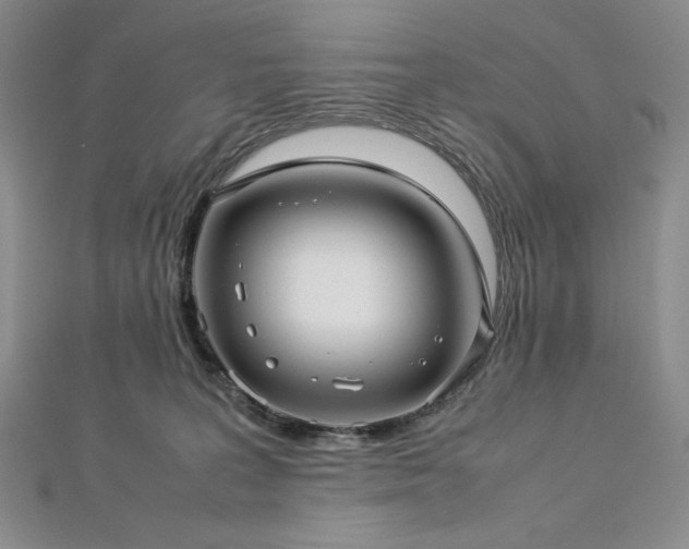 X0000113010227200908271416