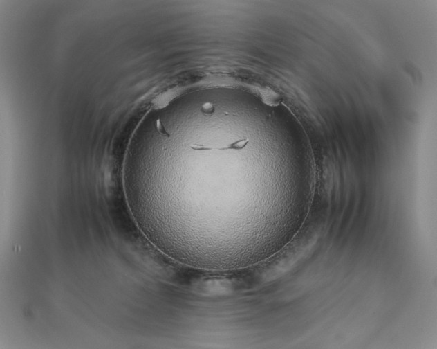 X0000113010228200908271416