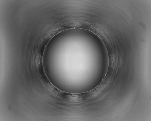 X0000113010230200908271416