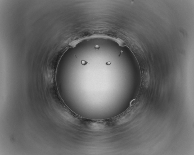 X0000113010232200908271416