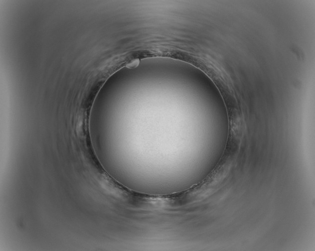 X0000113010233200908271416