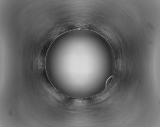 X0000113010234200908271416