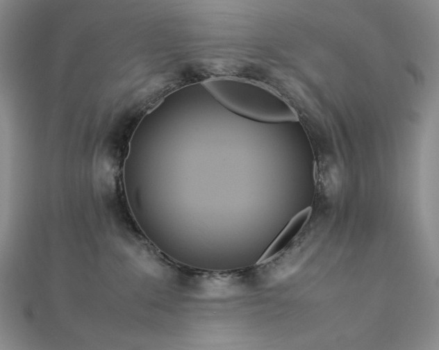 X0000113010235200908271416