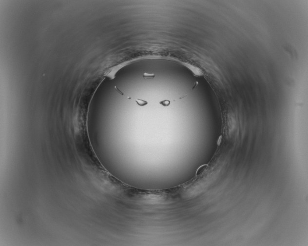 X0000113010236200908271416