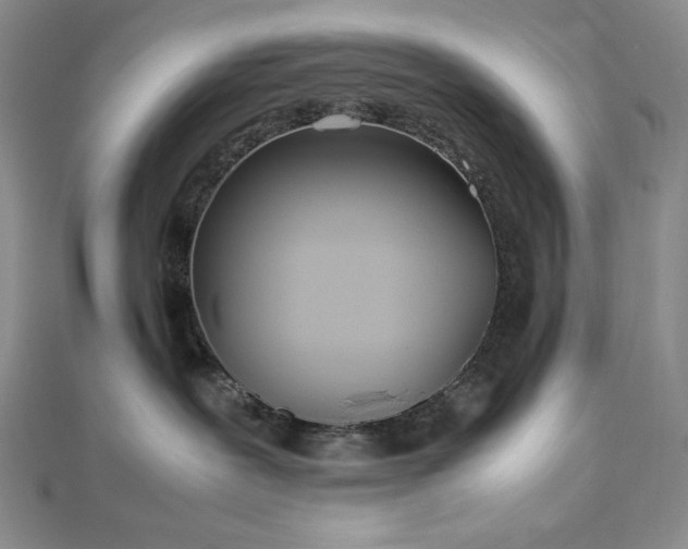 X0000113010239200908271416