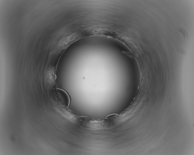 X0000113010240200908271416