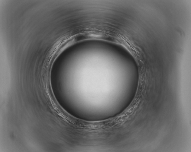 X0000113010241200908271415