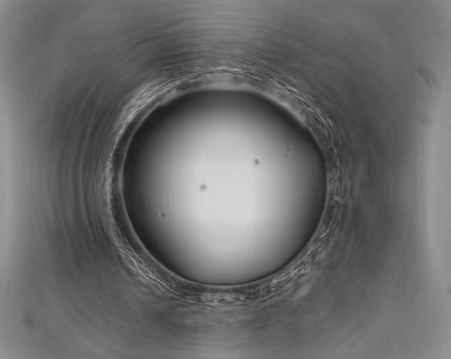 X0000113010242200908271415