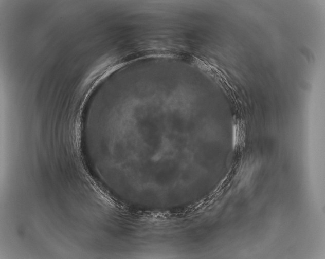 X0000113010243200908271415