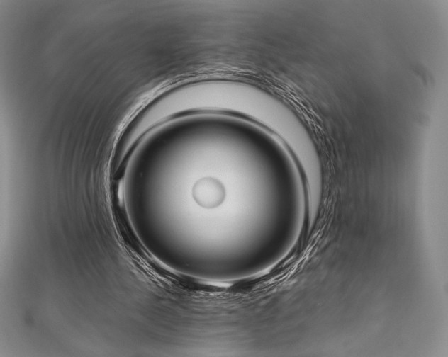 X0000113010244200908271415