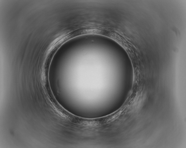 X0000113010245200908271415