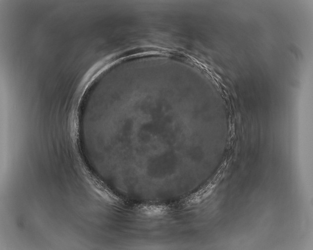 X0000113010247200908271415