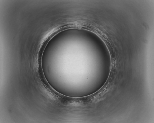 X0000113010248200908271415