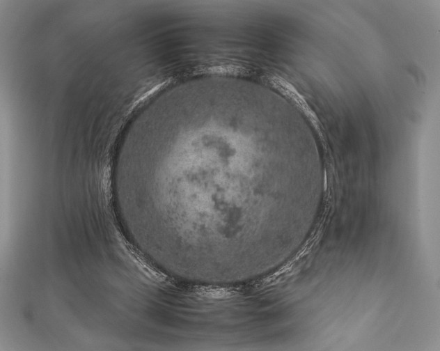 X0000113010249200908271415