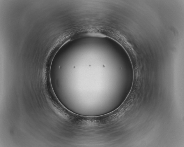 X0000113010250200908271415