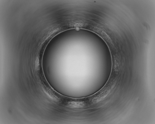 X0000113010251200908271415