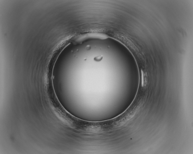 X0000113010252200908271415